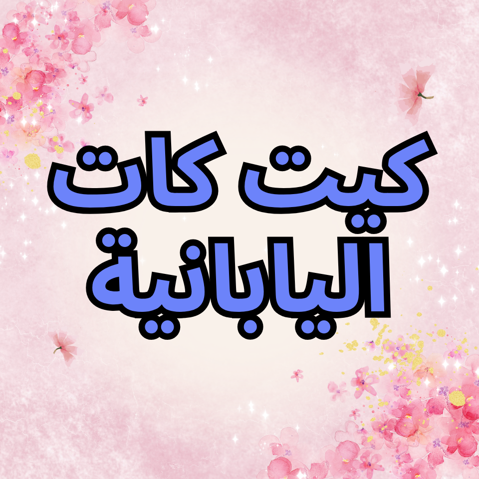 كيت كات