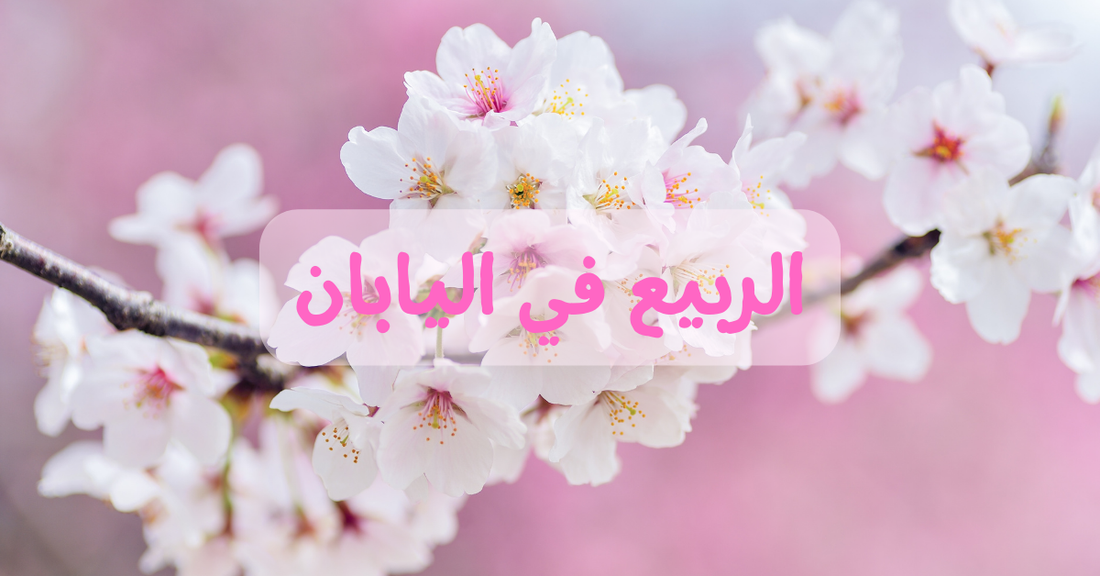 الربيع في اليابان: موسم جميل لأصدقائنا العرب