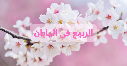الربيع في اليابان: موسم جميل لأصدقائنا العرب